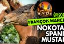 Épisode 04 : Nokota et Spanish Mustangs